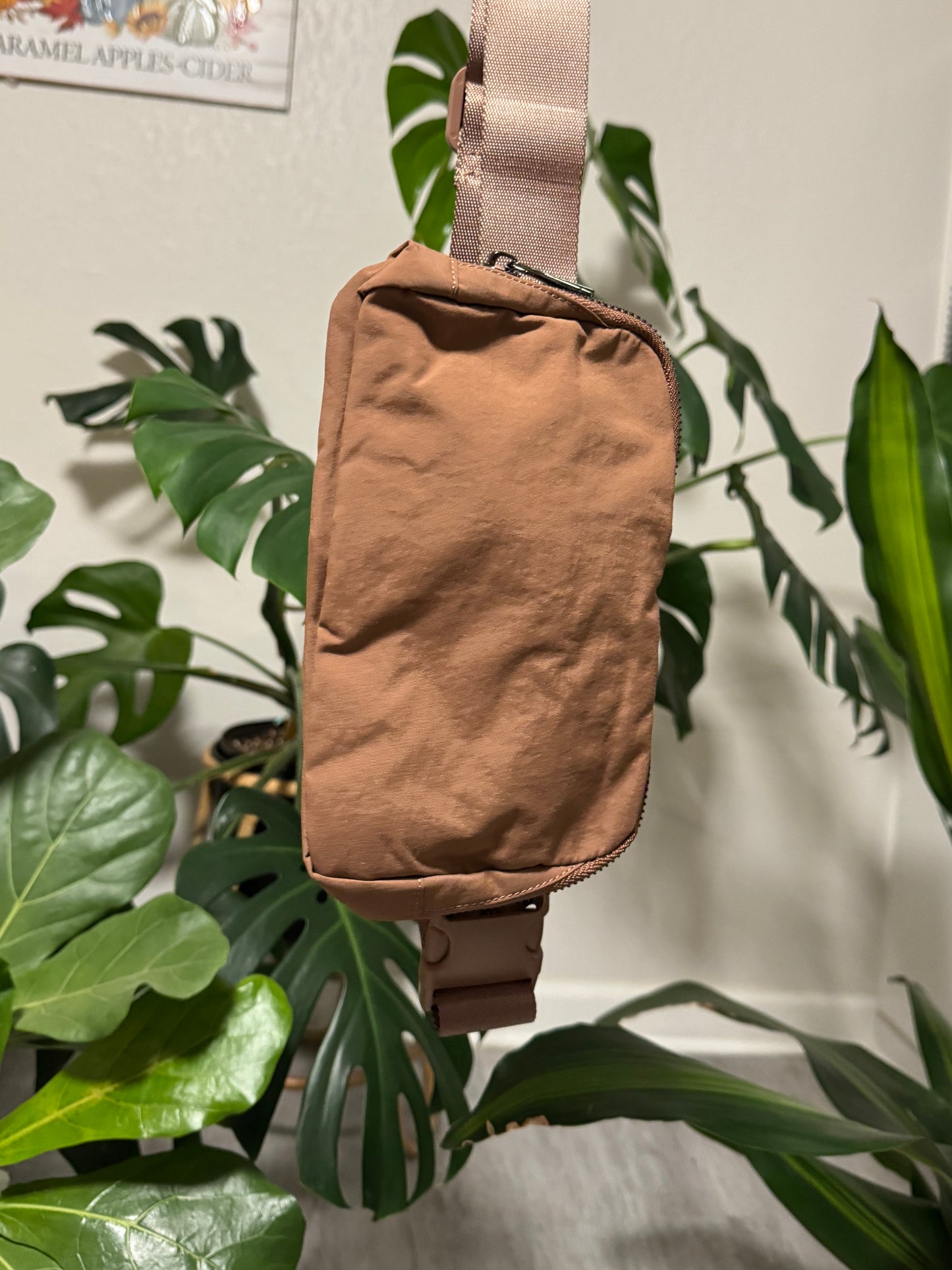 Belt Bag