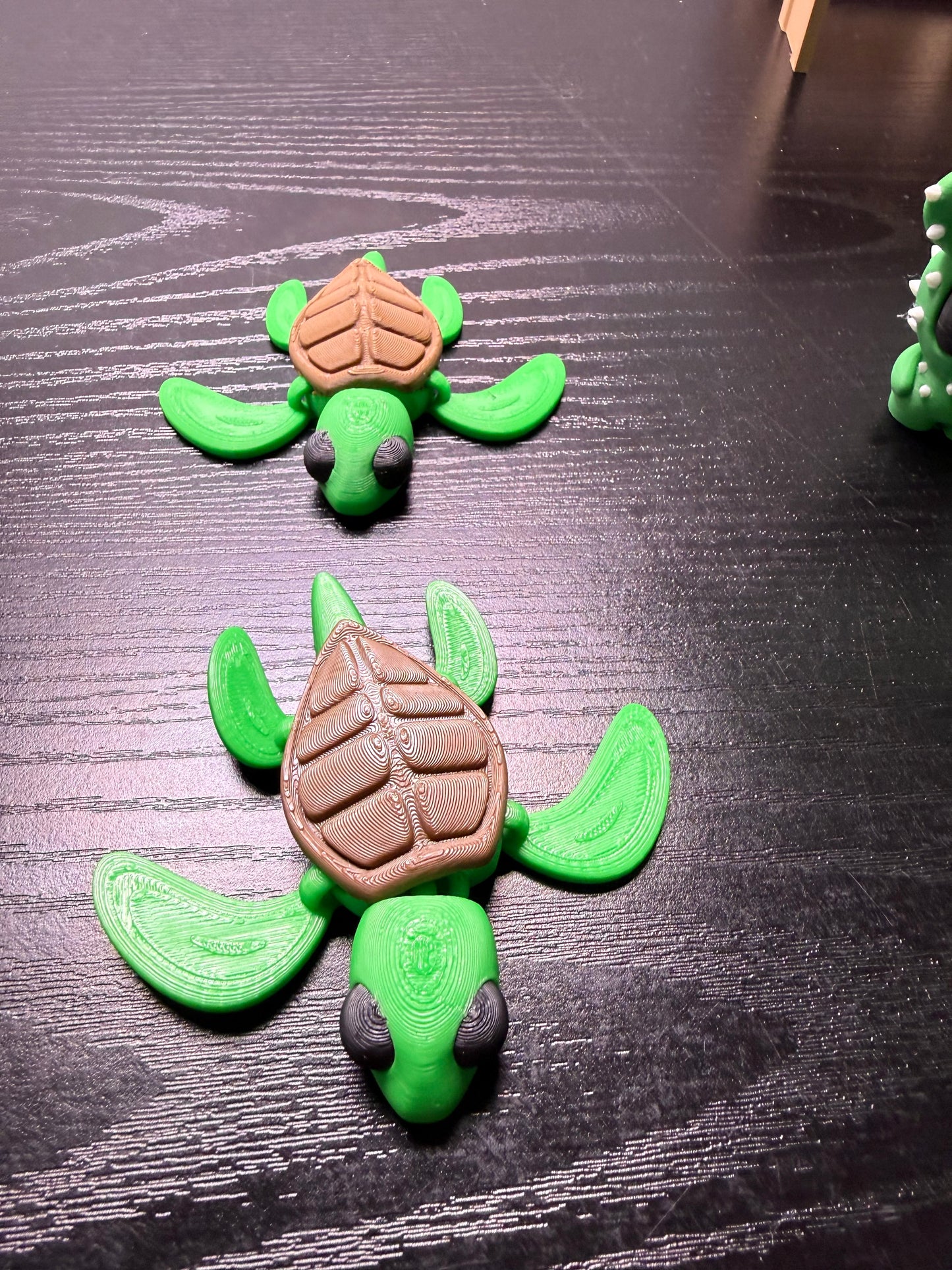 Sea Turtles