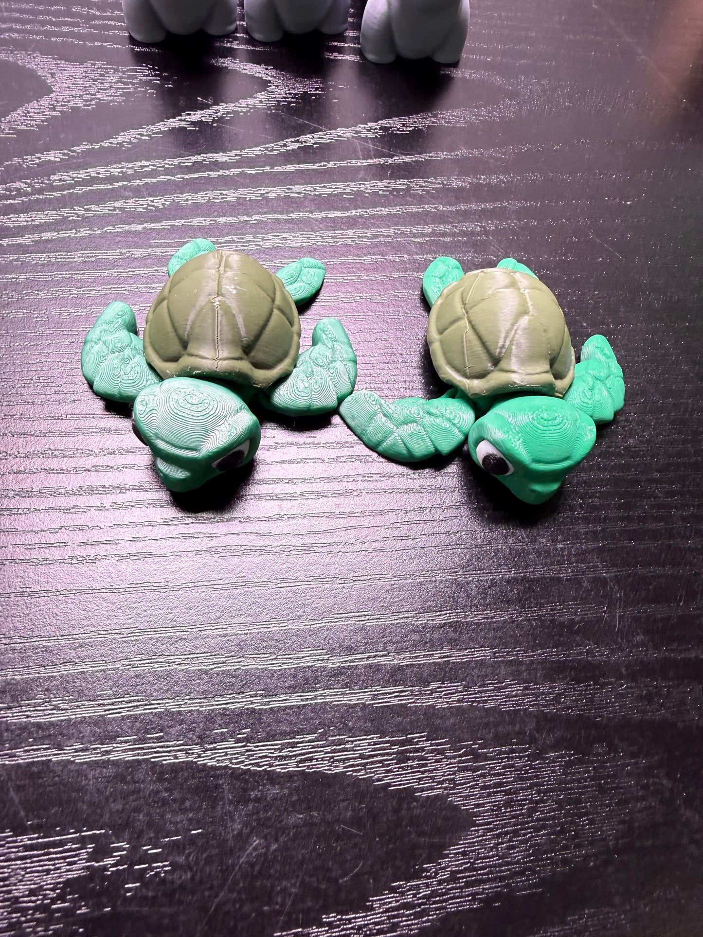 Sea Turtles