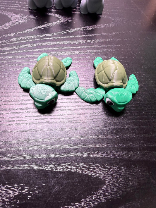 Sea Turtles
